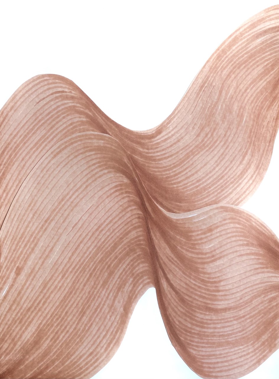 LINES IN MOTION, 2021,&nbsp;42X30CM