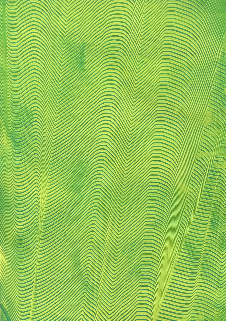 LINES IN MOTION, 2021,&nbsp;50X70CM