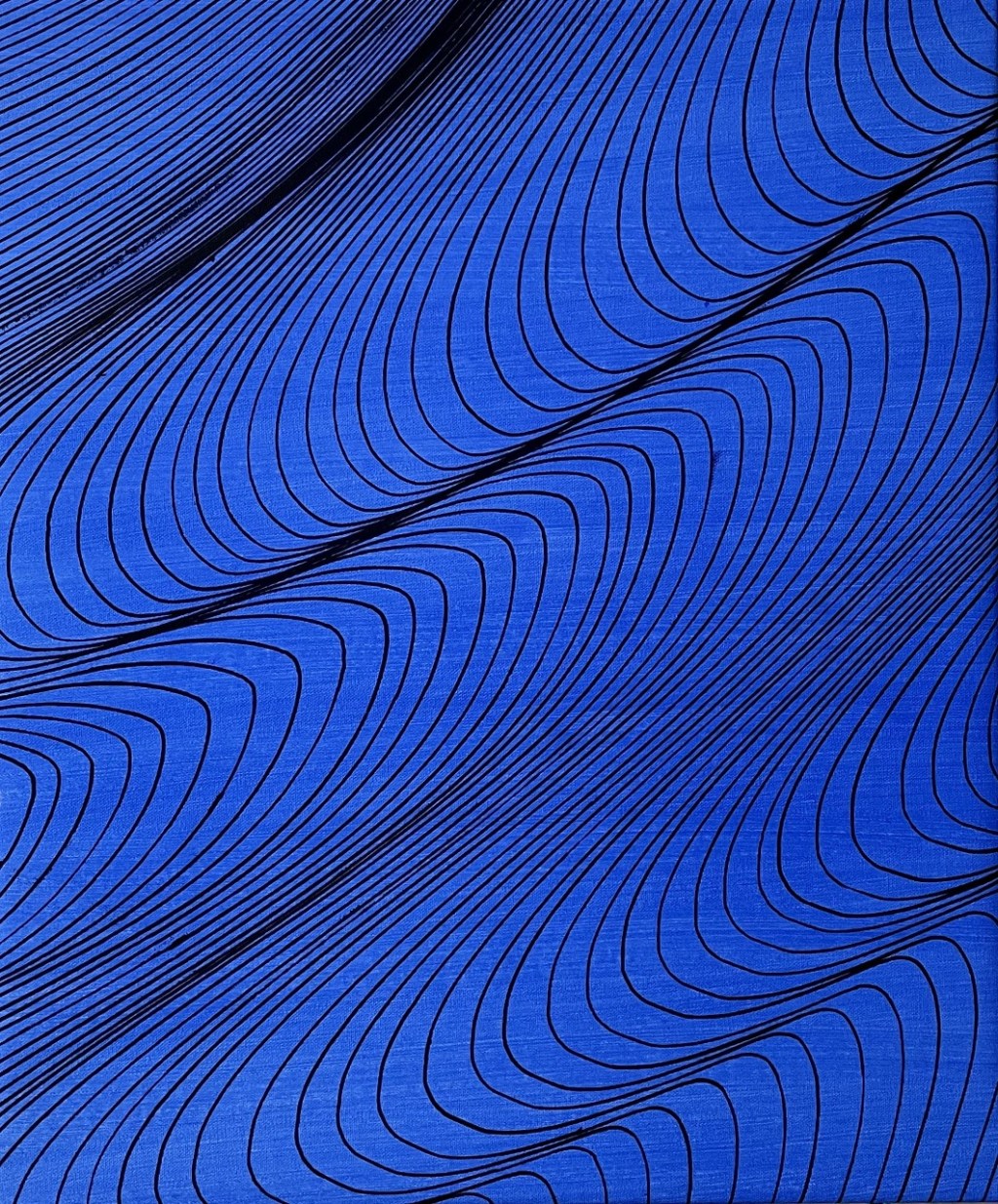 LINES IN MOTION, 2022,&nbsp;50x60cm